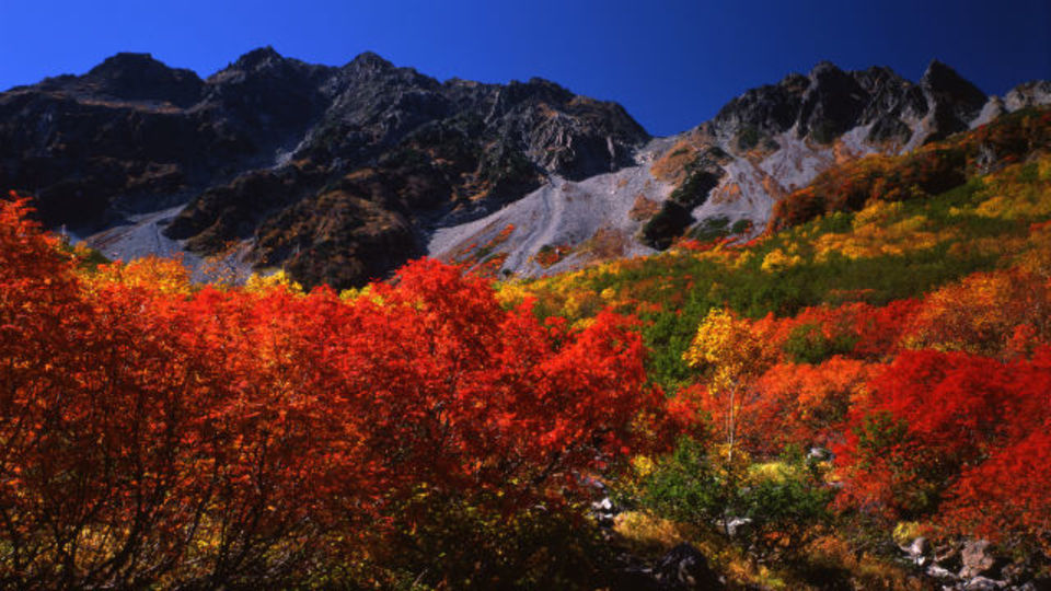 登山初心者でも行ける? 憧れの涸沢カールの紅葉を見にいこう!ほか〜木曜のライフハック記事まとめ