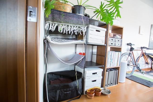 161006_shelf4.jpg