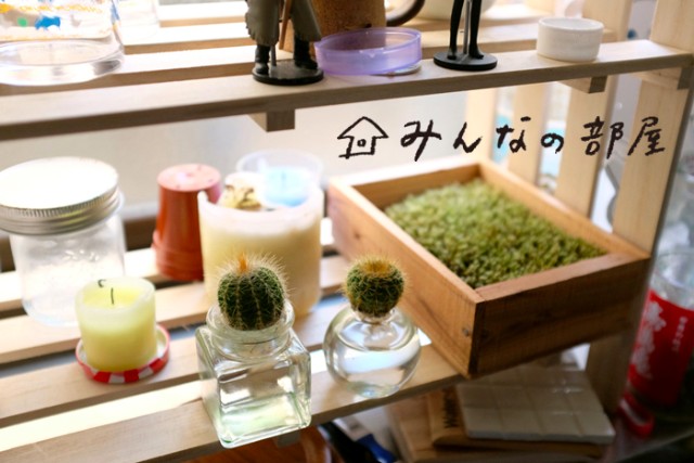 161104roomie_6.jpg