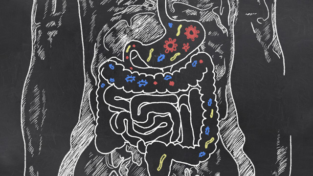 パーキンソン病に「腸内細菌」が関与か:研究結果