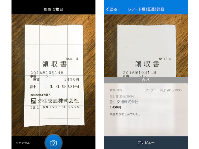 161226_yayoi_07.jpg