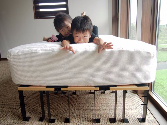 170121roomie_8.jpg