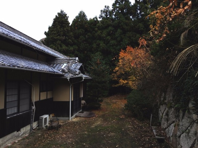 170126roomie_8.jpg