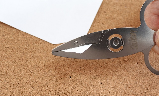 170127_cardscissors_03.jpg
