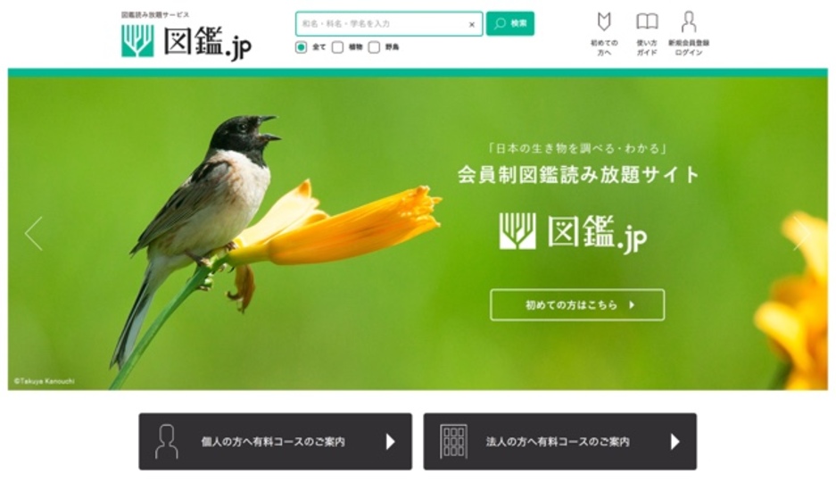 さまざまな図鑑が読み放題のサービス「図鑑.jp」