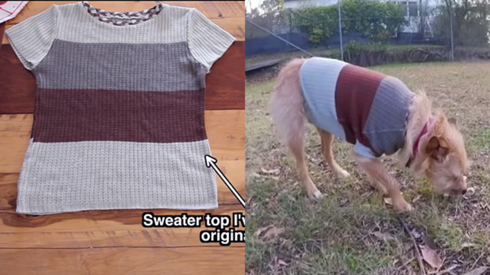 飼い主のお下がりで愛犬のセーターを作る方法