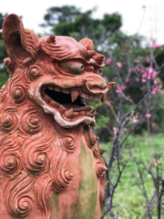 170227_shisa.jpg