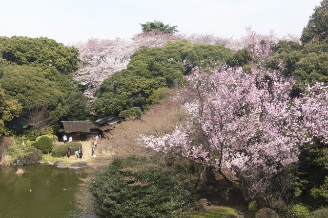 02_museums_in_spring.jpg