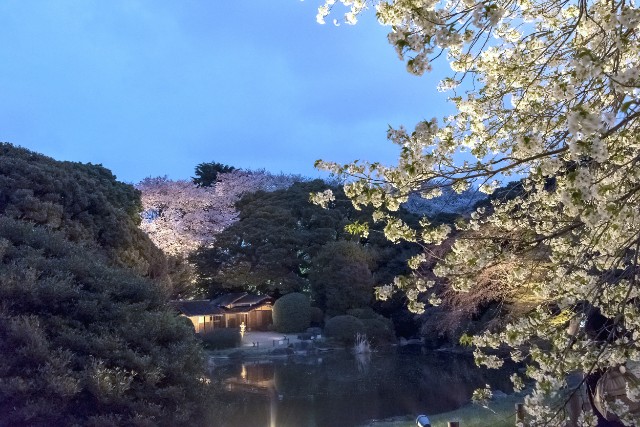 06_museums_in_spring.jpg