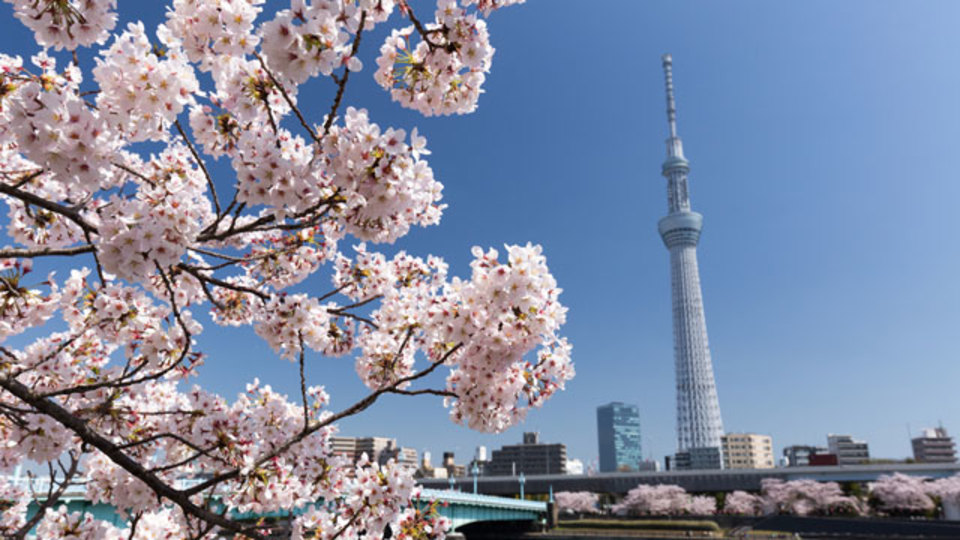 東京 お花見・桜の見えるレストランの人気13店【穴場あり】ほか〜木曜のライフハック記事まとめ