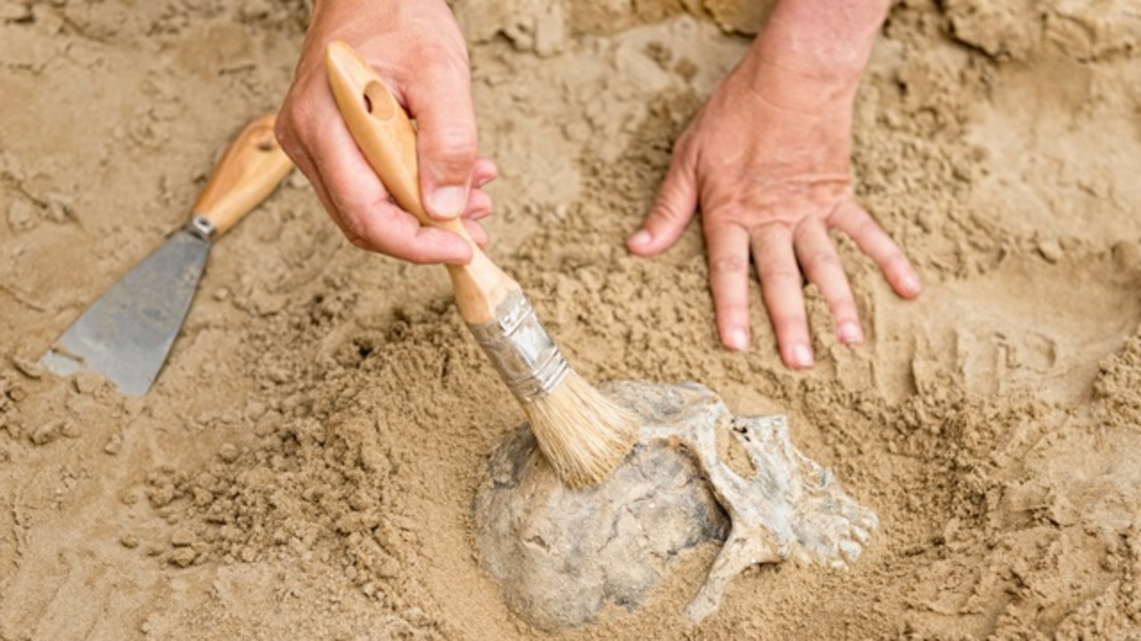 人肉にはあまり栄養価がない ライフハッカー 日本版