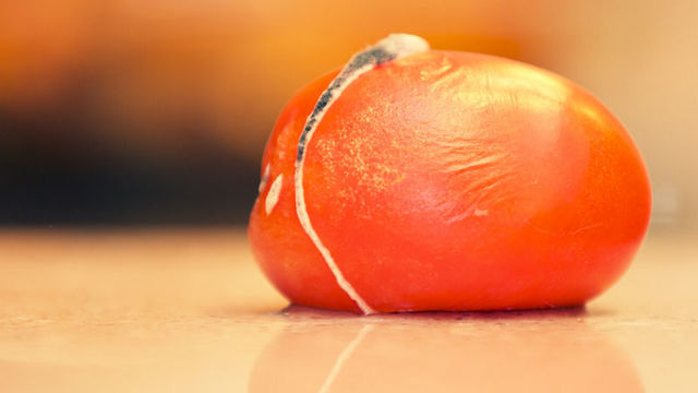 カビが生えたら、カビていない部分も食べてはいけない