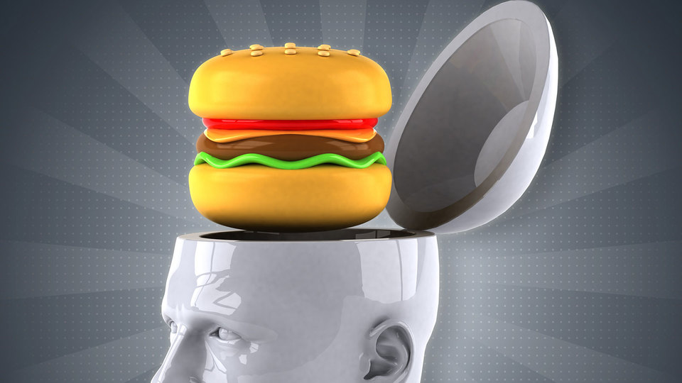 科学研究:食べ物が悪いと頭が悪くなる