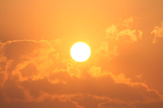 夏嫌いが「この夏を生き延びる方法」を考える