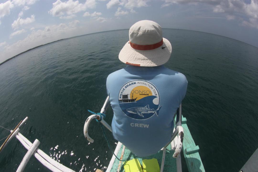 170627whalewatching1
