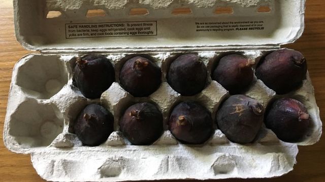 新鮮なイチジクを長持ちさせる保存法