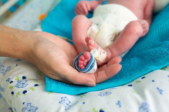 人工子宮で超未熟児を救える日が来るかもしれない