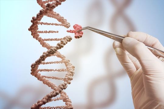 ゲノム編集で「がん細胞の分裂の抑制」に成功