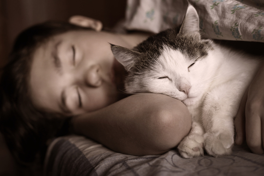 寝苦しくて寝苦しくて震えてもなんとか眠るための記事まとめ