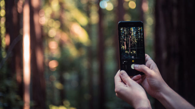 iOSのカメラ・アプリ「Halide」なら、アマチュアもプロになれる