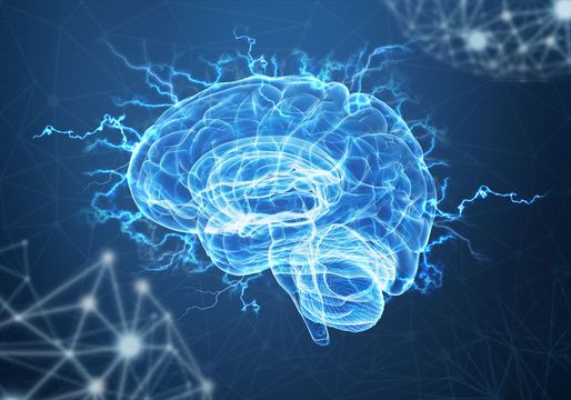 CEOになると脳にダメージを受ける:研究結果