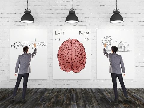 科学研究:右脳・左脳神話はウソだった