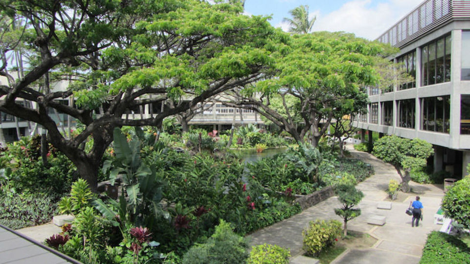 旅行をより楽しく! フライトの乗り継ぎ時間を快適過ごすための空港選び