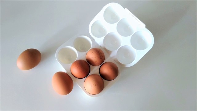 どうしてもキャンプに卵を持っていきたい時の専用ホルダー【今日のライフハックツール】