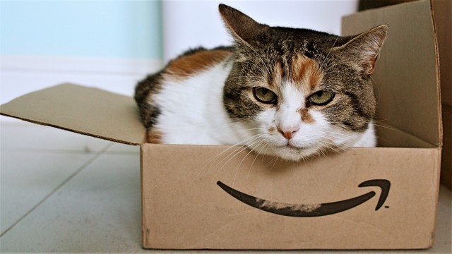 Amazonの「ベストセラー」が信用できない場合もある理由
