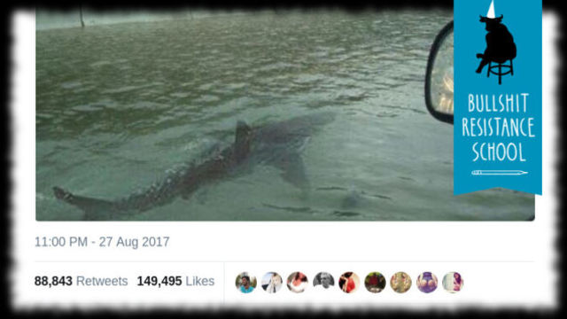 デタラメだらけのSNS。シェアする前に気をつけてほしいこと