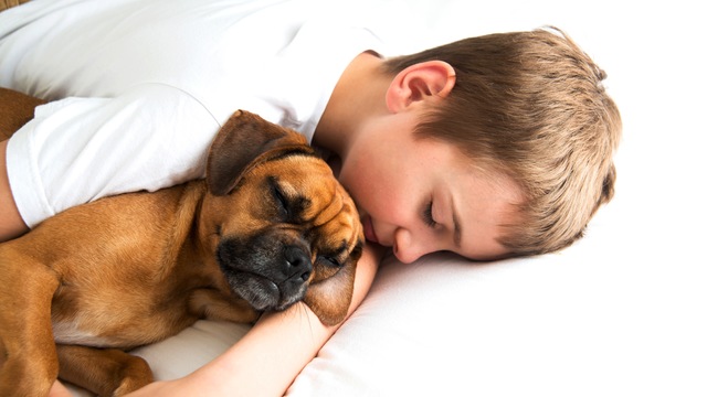 子どもと一緒に飼いたい犬種と選ぶときの注意点