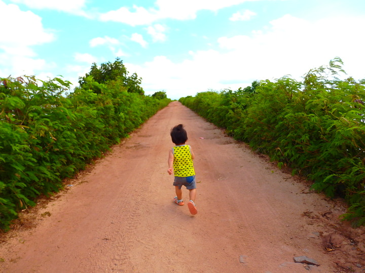 南国フィジー版「森のようちえん」自然いっぱいの日常が子どもの好奇心を刺激し想像力を育む