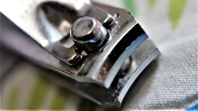 切った爪が飛び散らない、爪切りのベストタイミング