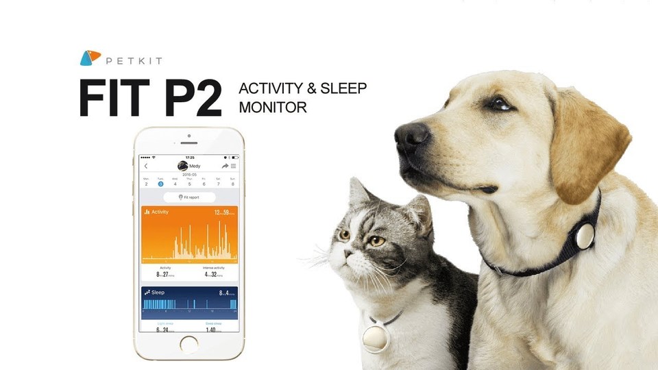 まさにペット用のFitbit。愛犬、愛猫の活動量を調べる「FIT P2」がキャンペーンを開始