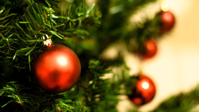 クリスマスまでモミの木のツリーを枯れさせない5つのTips