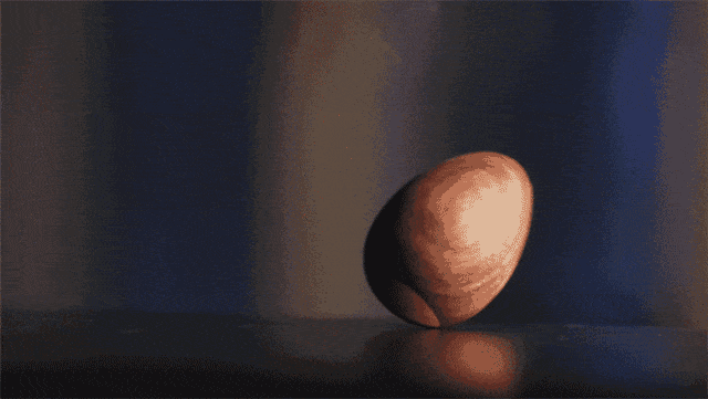 20180108_zenegg_00
