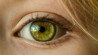 Facebookが導入した顔認識機能を無効にする方法