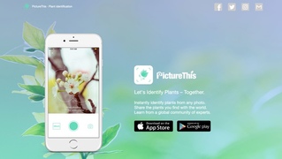 写真を撮るだけでその花の名前が調べられるアプリ「PictureThis」