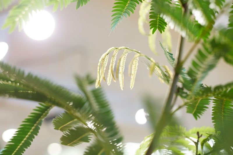 180312_everfresh_newsprout