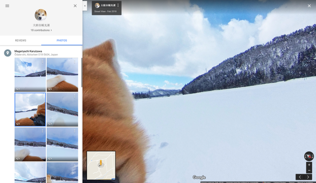 秋田犬の目線で、秋田県見てみない？