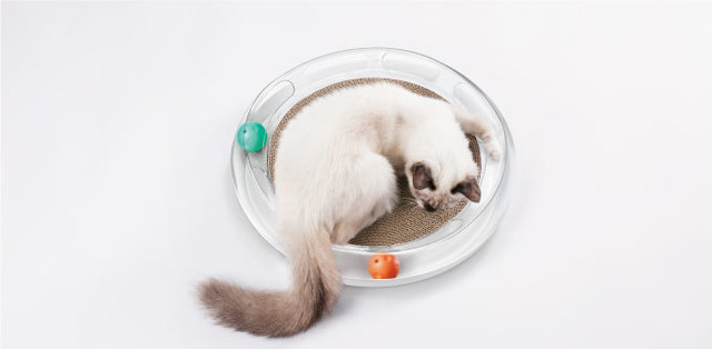 愛猫家必見！4通りに楽しめるキャットトイ「FUN 4 in 1 CatScratcher」がキャンペーンを開始