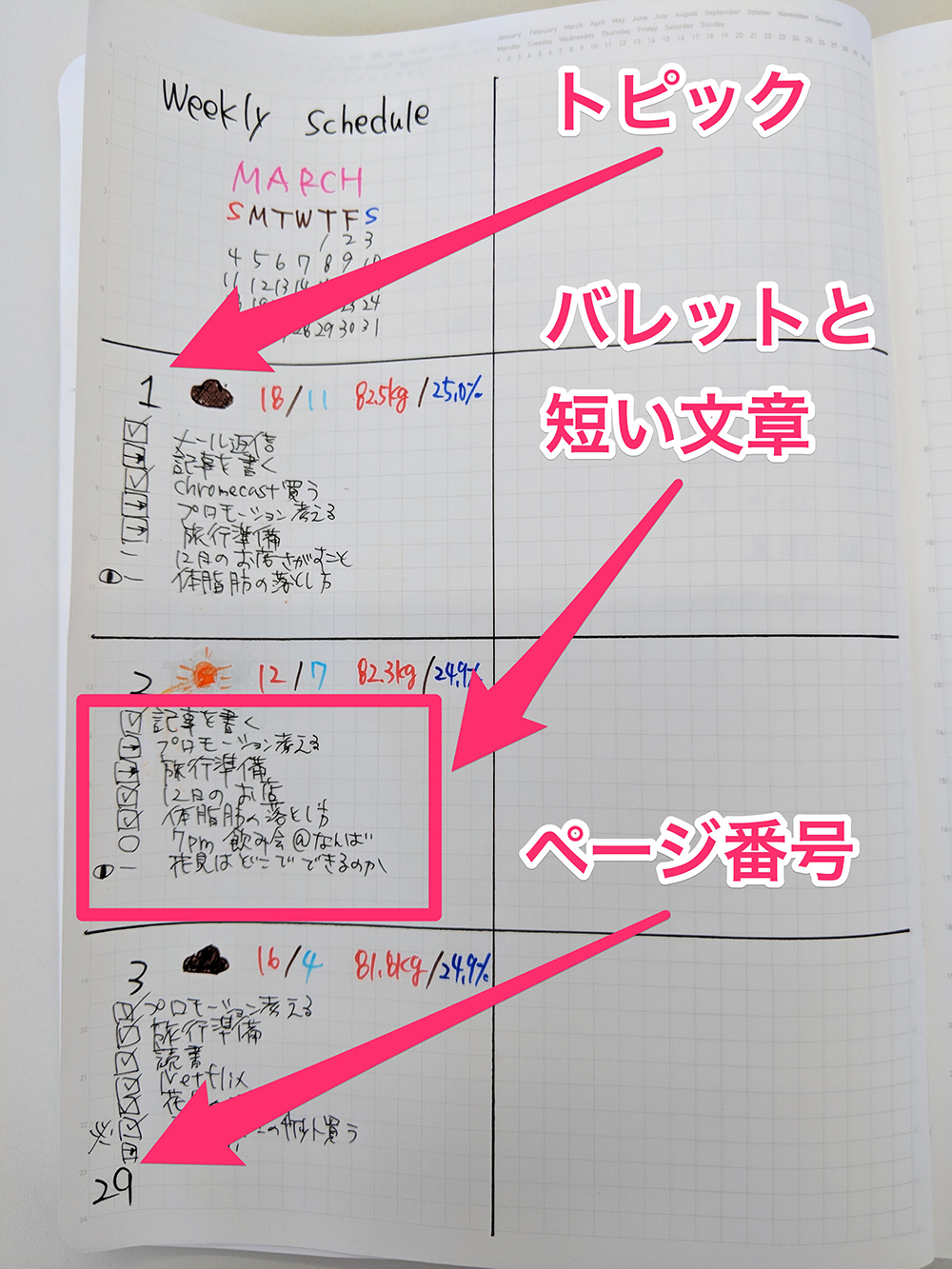 bulletjournal10-1