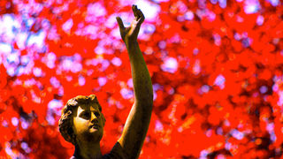 人生の役に立つ言葉:「富」や「名声」は謙虚に受け取り、潔く手放しなさい