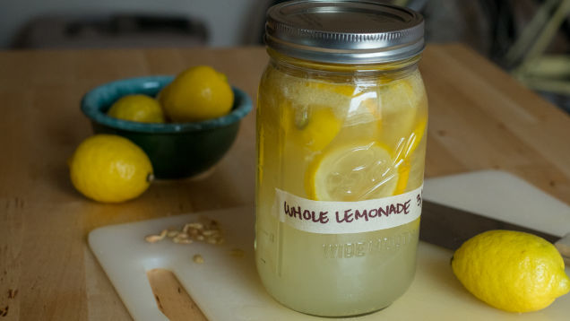 20180423lemon3