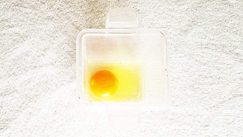 18_04_20_egg_2-2