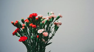 パーティーの手土産に花束はやめた方がいい理由