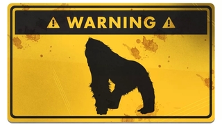 世界最大の霊長類に遭遇したら、絶対やってはいけない5つのこと