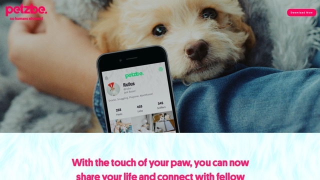 人間お断り、ペット専用の写真投稿SNS「Petzbe」