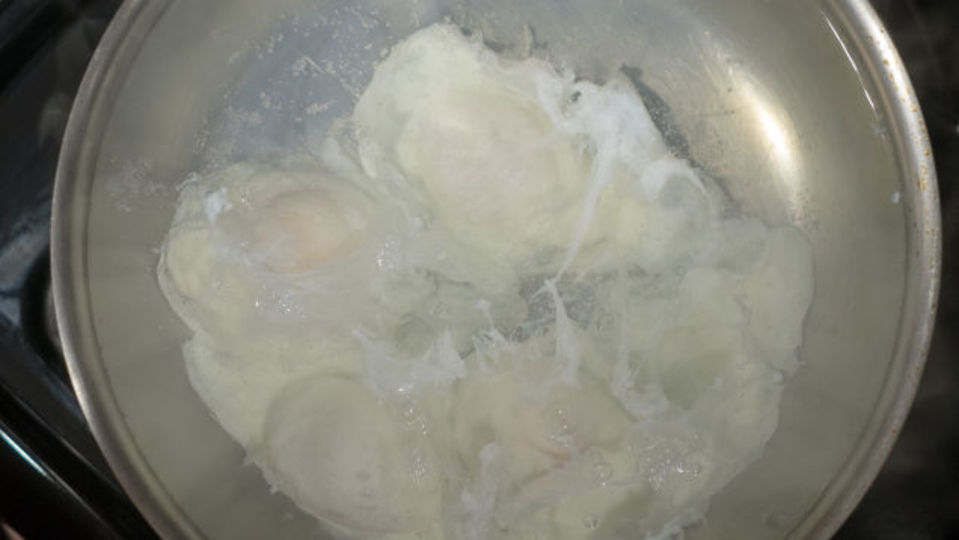 180513_PoachedEgg_04