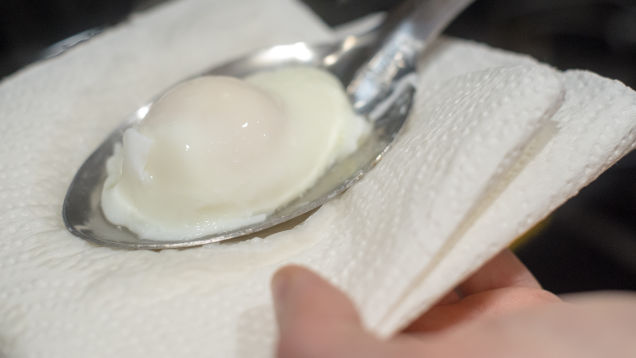 180513_PoachedEgg_05